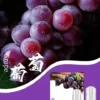 SP2❤️‍🔥3顆入/通用一代🍬不用我說的銷冠